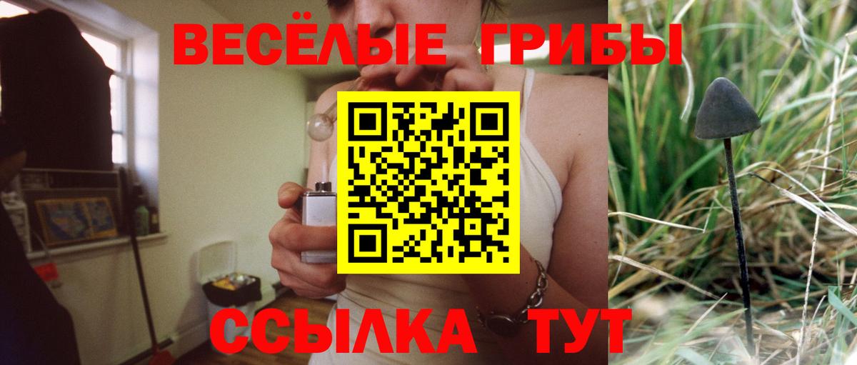 Галлюциногенные грибы мицелий  Вход с VPN  Алексеевка 