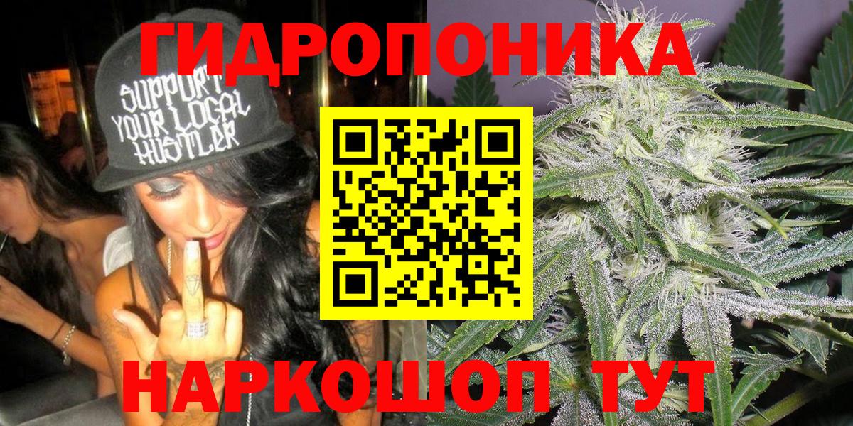 Канабис сатива Алексеевка
